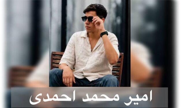 فریاد از پشته میله ها:در خواست امیر محمد احمدی لطفا صدای زندانیان سیاسی باشد
